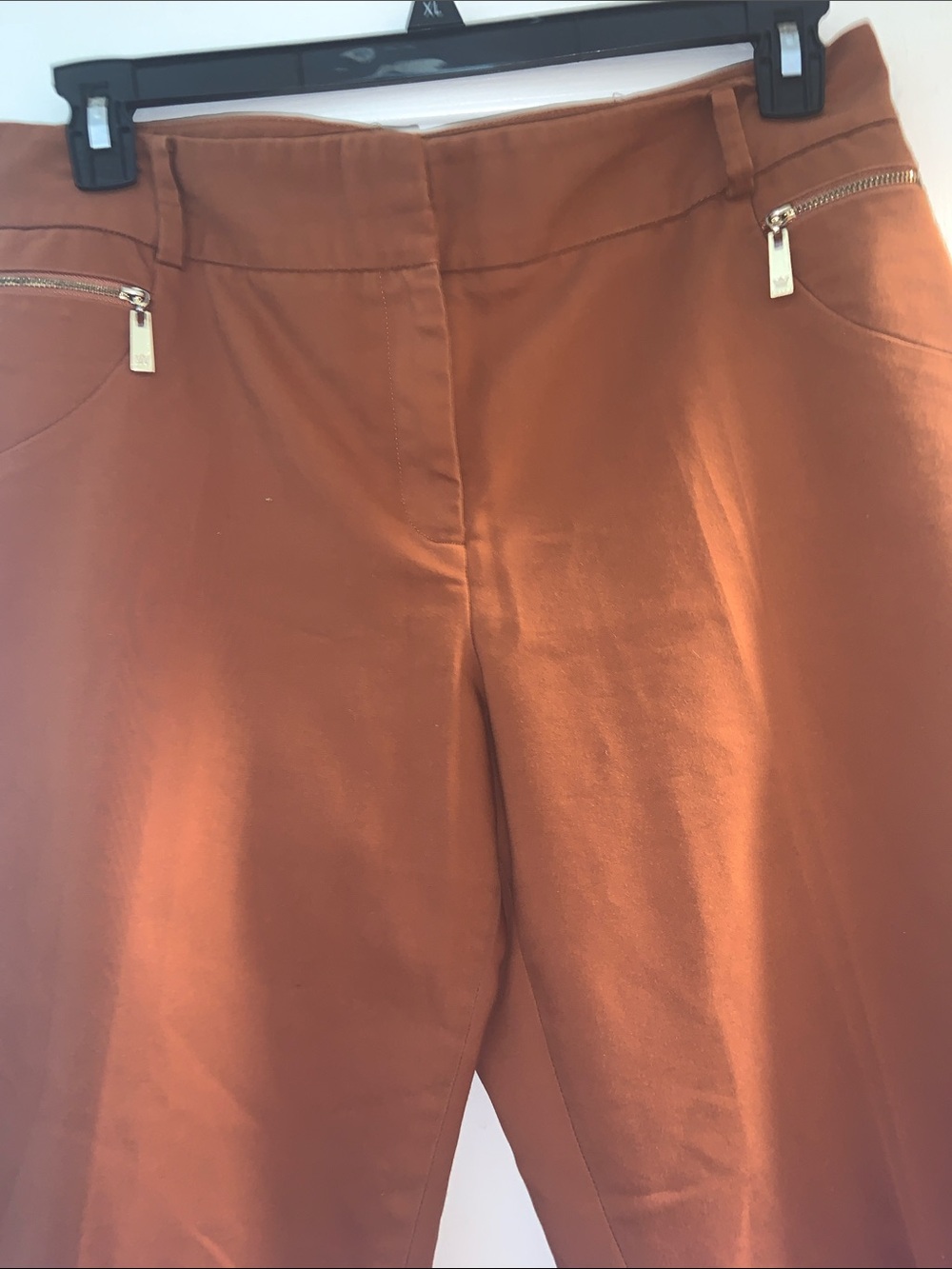 Chaus Rust Straight-Leg Ponte Pants with Zip Accents - Picture 4 of 8